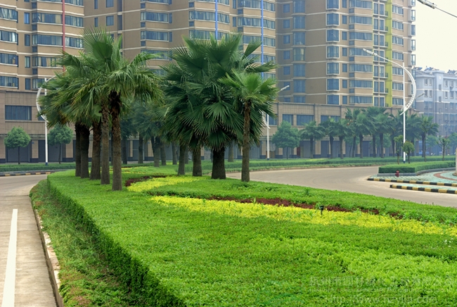 亚洲精品白浆高清久久久久久