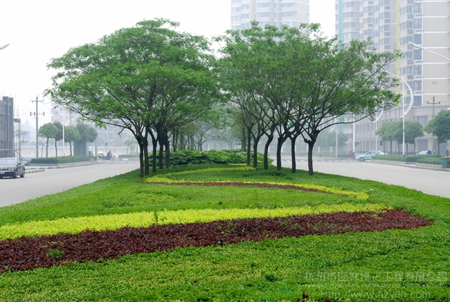 亚洲精品白浆高清久久久久久