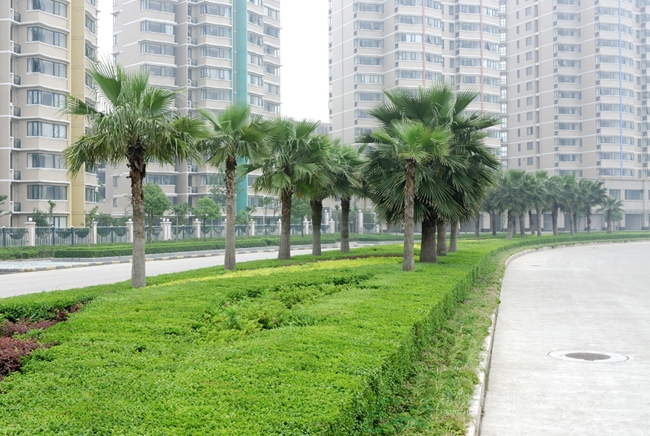 亚洲精品白浆高清久久久久久