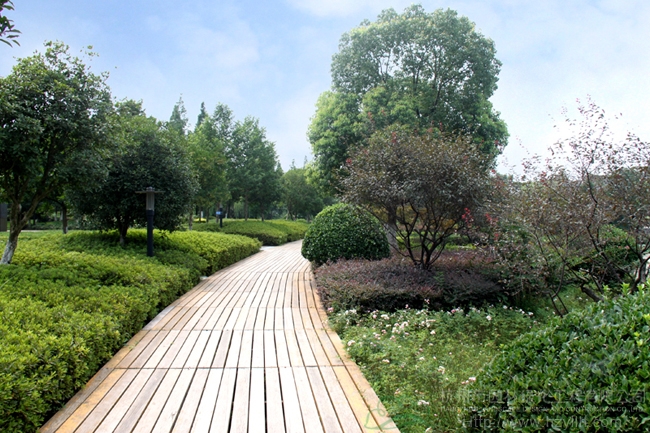 亚洲精品白浆高清久久久久久