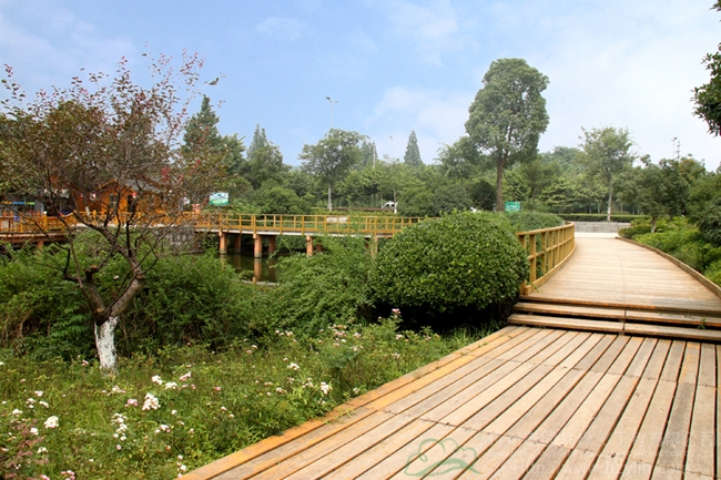 亚洲精品白浆高清久久久久久