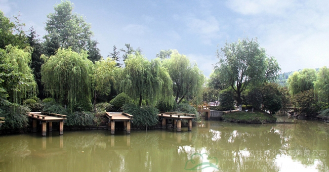 亚洲精品白浆高清久久久久久