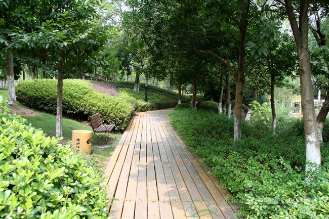 亚洲精品白浆高清久久久久久