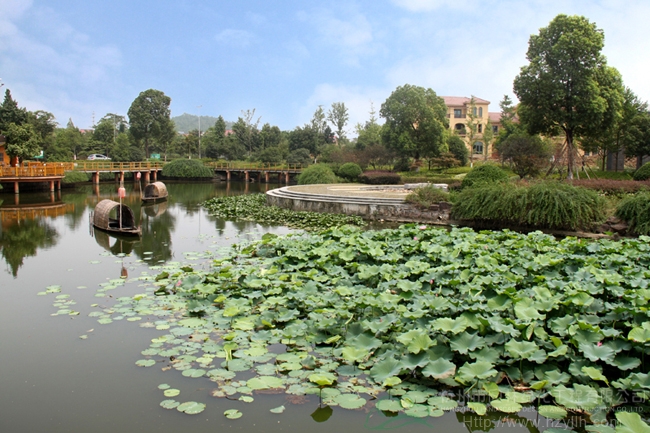 亚洲精品白浆高清久久久久久