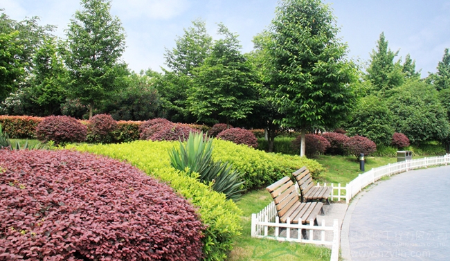 亚洲精品白浆高清久久久久久