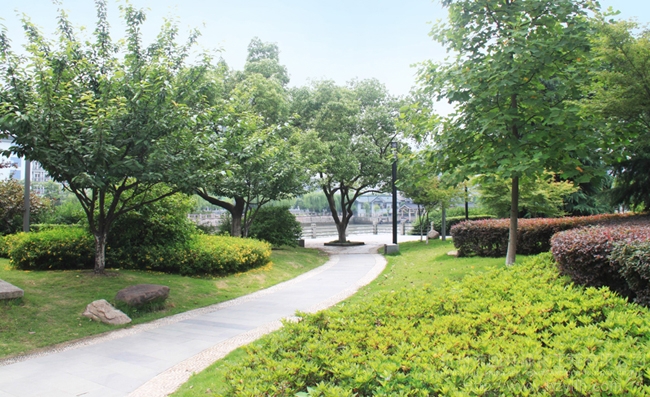 亚洲精品白浆高清久久久久久