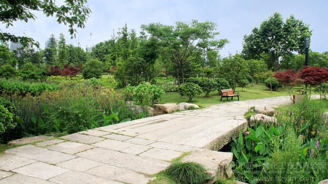 亚洲精品白浆高清久久久久久