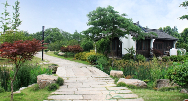 亚洲精品白浆高清久久久久久