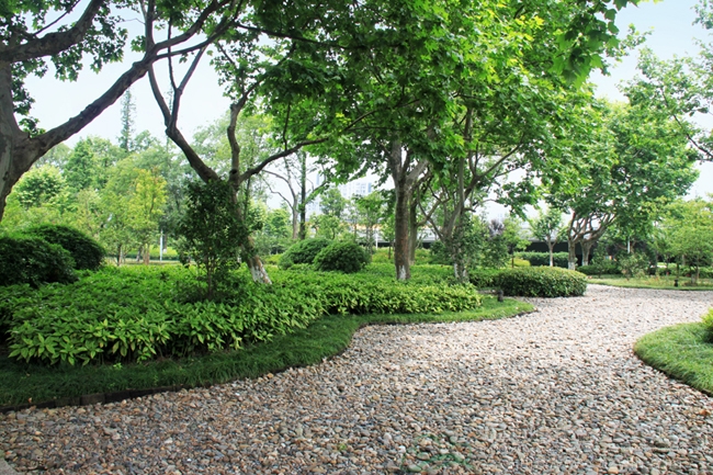 亚洲精品白浆高清久久久久久