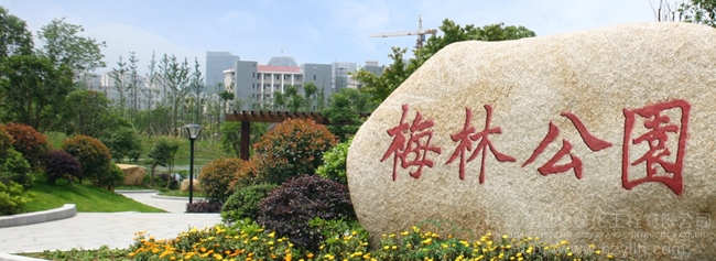 亚洲精品白浆高清久久久久久