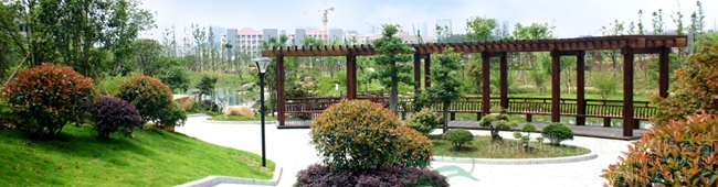 亚洲精品白浆高清久久久久久