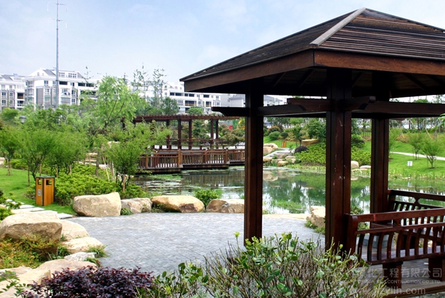 亚洲精品白浆高清久久久久久