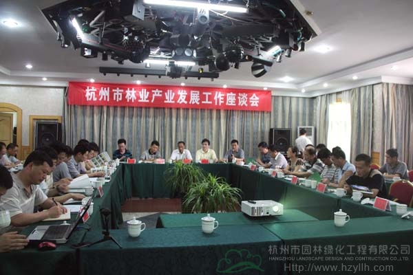 亚洲精品白浆高清久久久久久