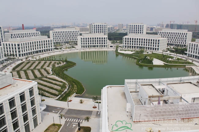 亚洲精品白浆高清久久久久久