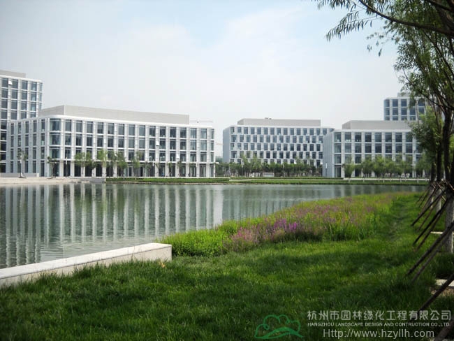 亚洲精品白浆高清久久久久久