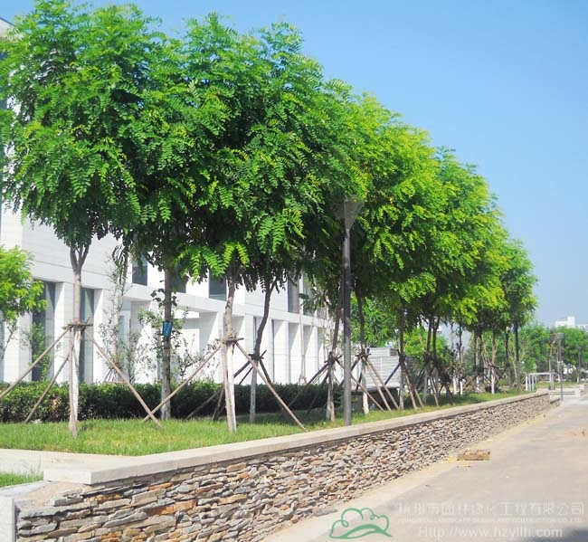 亚洲精品白浆高清久久久久久