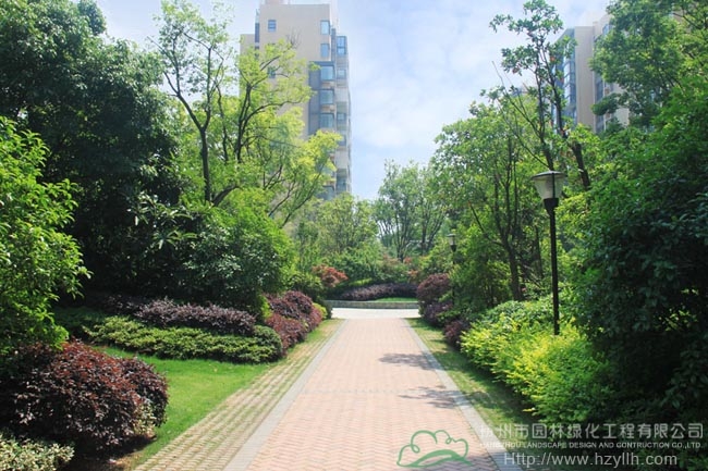 亚洲精品白浆高清久久久久久