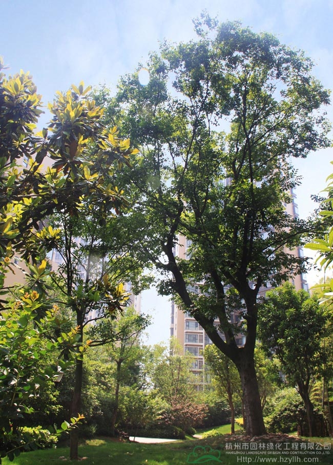 亚洲精品白浆高清久久久久久