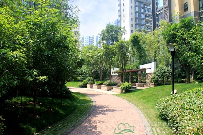 亚洲精品白浆高清久久久久久