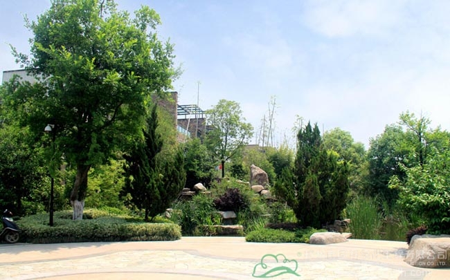 亚洲精品白浆高清久久久久久