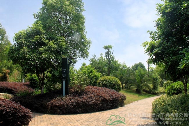 亚洲精品白浆高清久久久久久