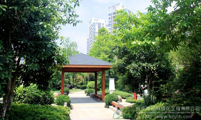 亚洲精品白浆高清久久久久久