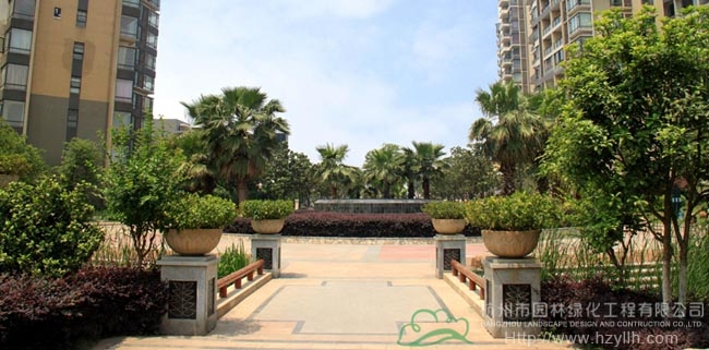 亚洲精品白浆高清久久久久久