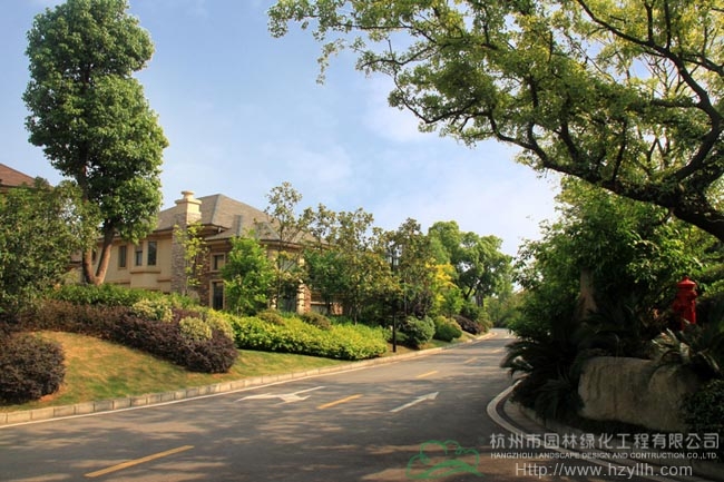 亚洲精品白浆高清久久久久久