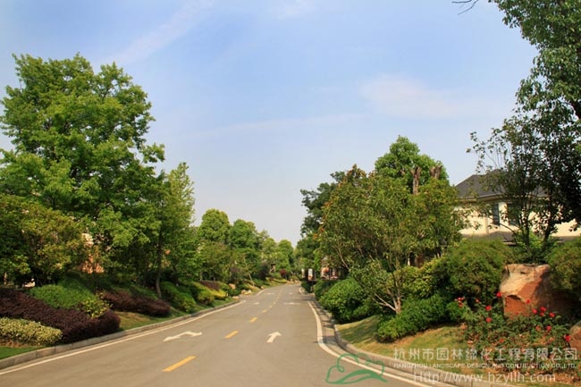 亚洲精品白浆高清久久久久久