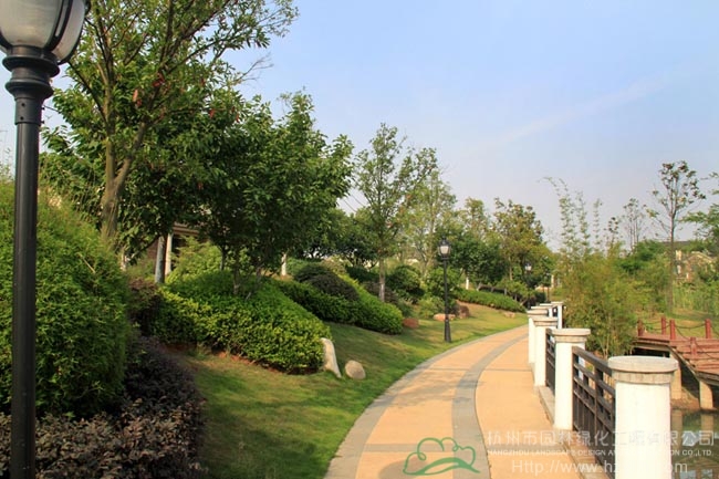 亚洲精品白浆高清久久久久久