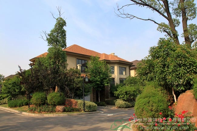 亚洲精品白浆高清久久久久久