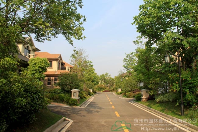 亚洲精品白浆高清久久久久久