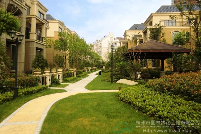 亚洲精品白浆高清久久久久久