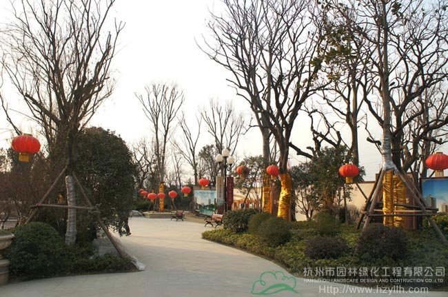 亚洲精品白浆高清久久久久久