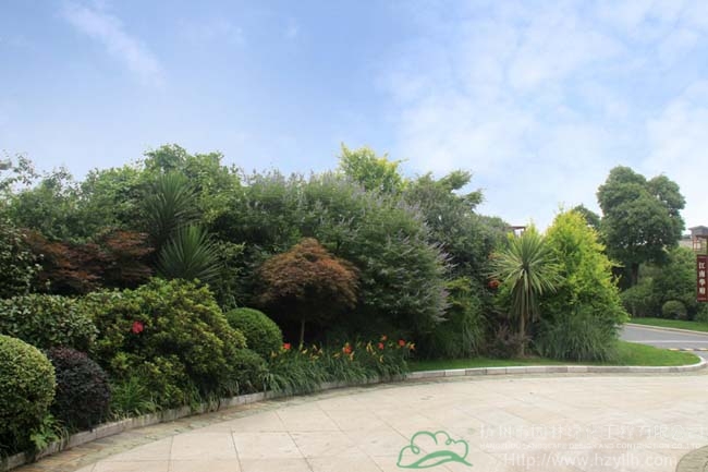 亚洲精品白浆高清久久久久久