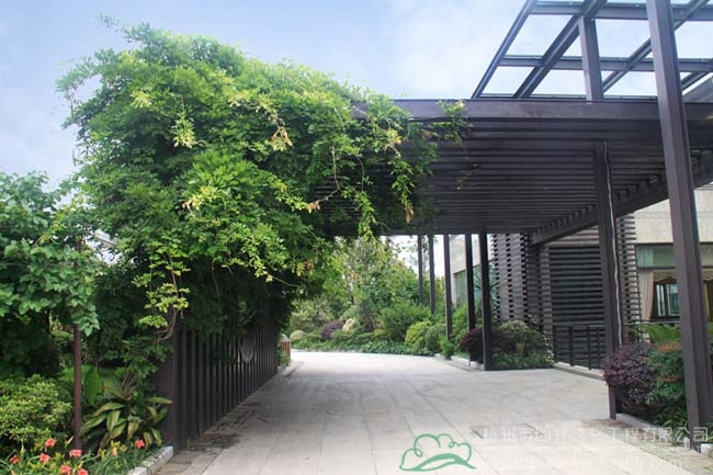 亚洲精品白浆高清久久久久久