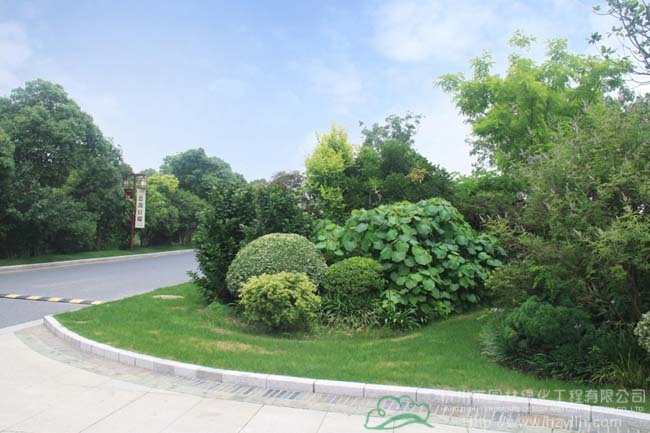 亚洲精品白浆高清久久久久久