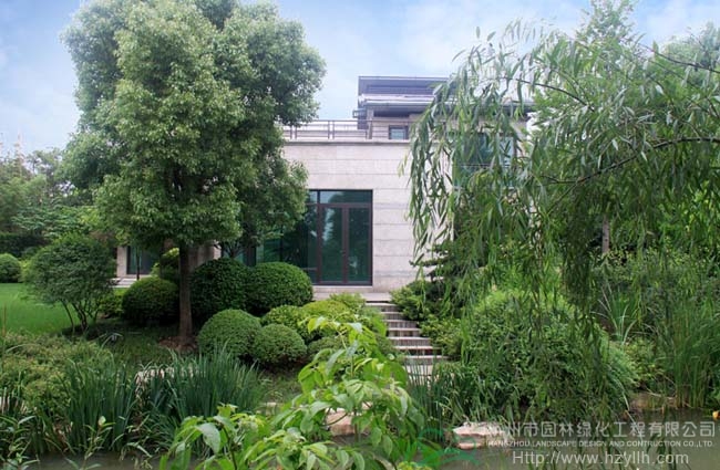 亚洲精品白浆高清久久久久久