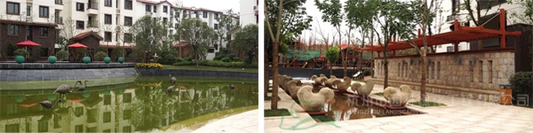亚洲精品白浆高清久久久久久