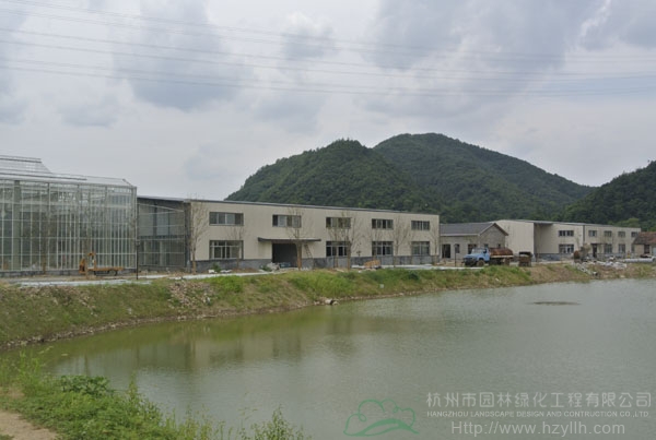 亚洲精品白浆高清久久久久久