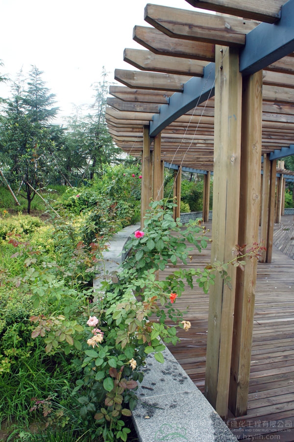 亚洲精品白浆高清久久久久久