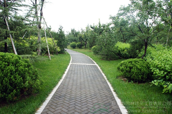 亚洲精品白浆高清久久久久久