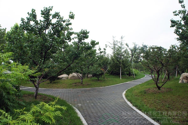 亚洲精品白浆高清久久久久久