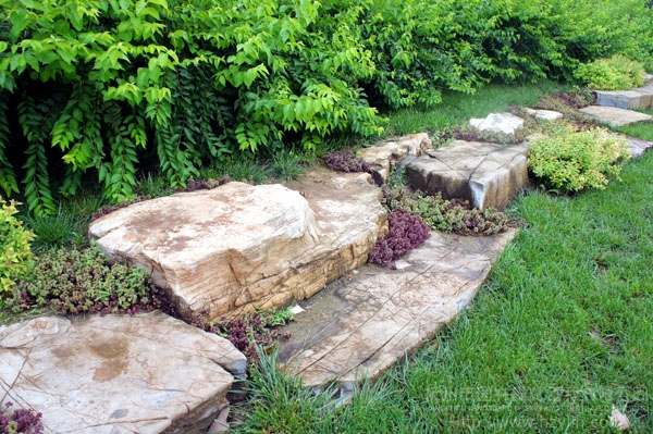 亚洲精品白浆高清久久久久久