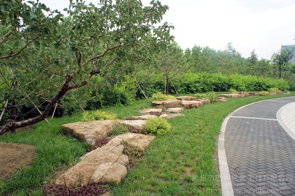 亚洲精品白浆高清久久久久久