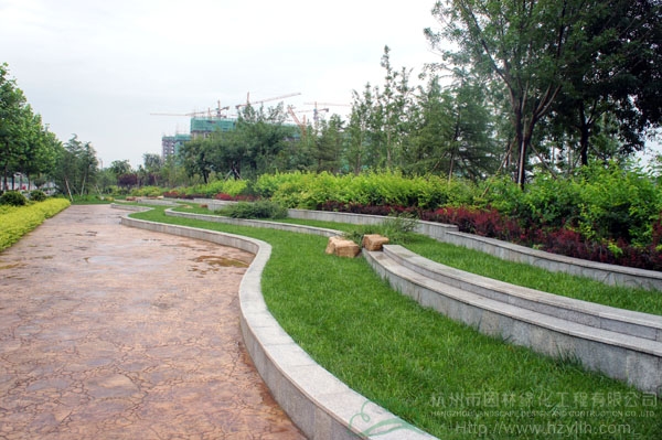 亚洲精品白浆高清久久久久久