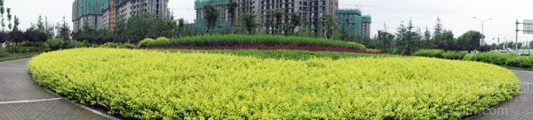 亚洲精品白浆高清久久久久久