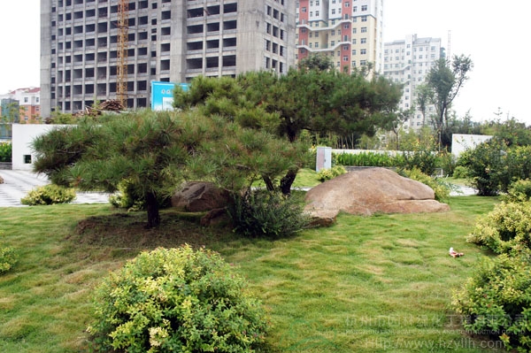 亚洲精品白浆高清久久久久久