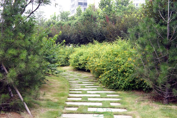 亚洲精品白浆高清久久久久久