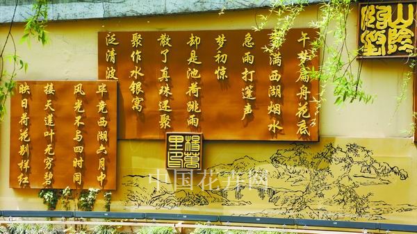 亚洲精品白浆高清久久久久久